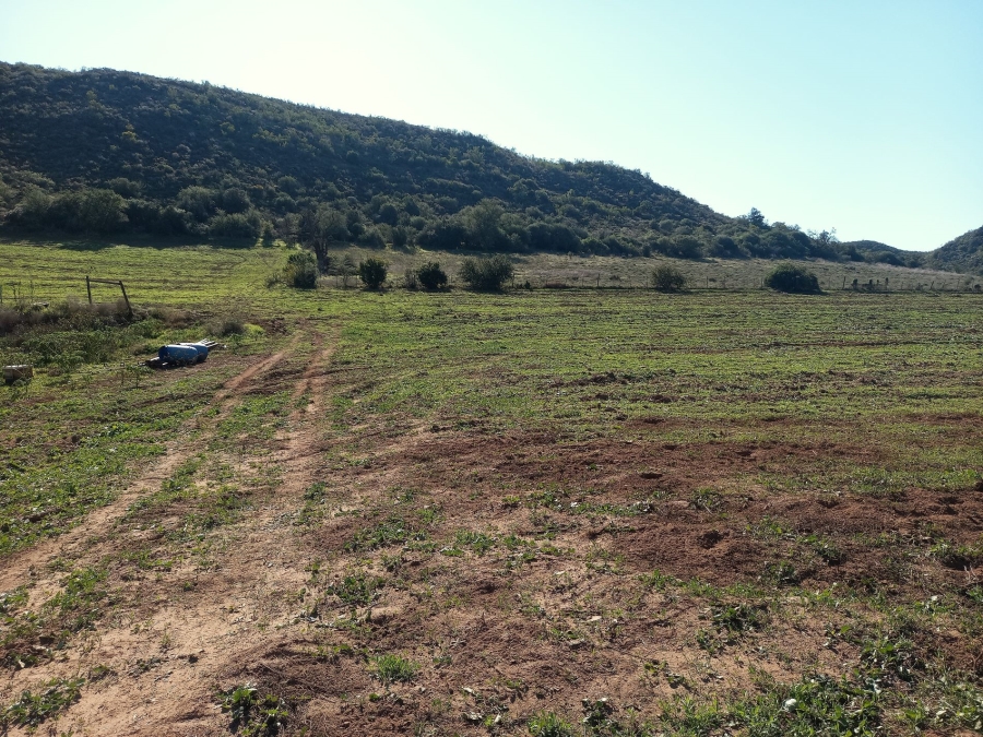 Commercial Property for Sale in George Rural Western Cape